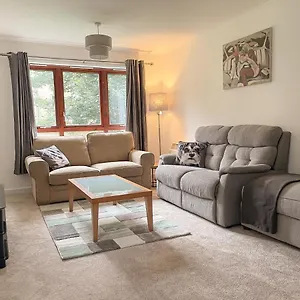 Spacious, And Newly Decorated Apartment